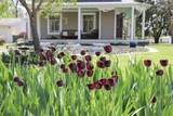 715 10th Street - Photo 53