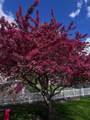 300 9th Street - Photo 10