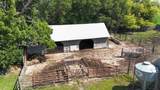 1955 420th Street - Photo 12