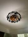 515 Park Road - Photo 15