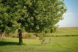 1818 Hwy 9 - Photo 10