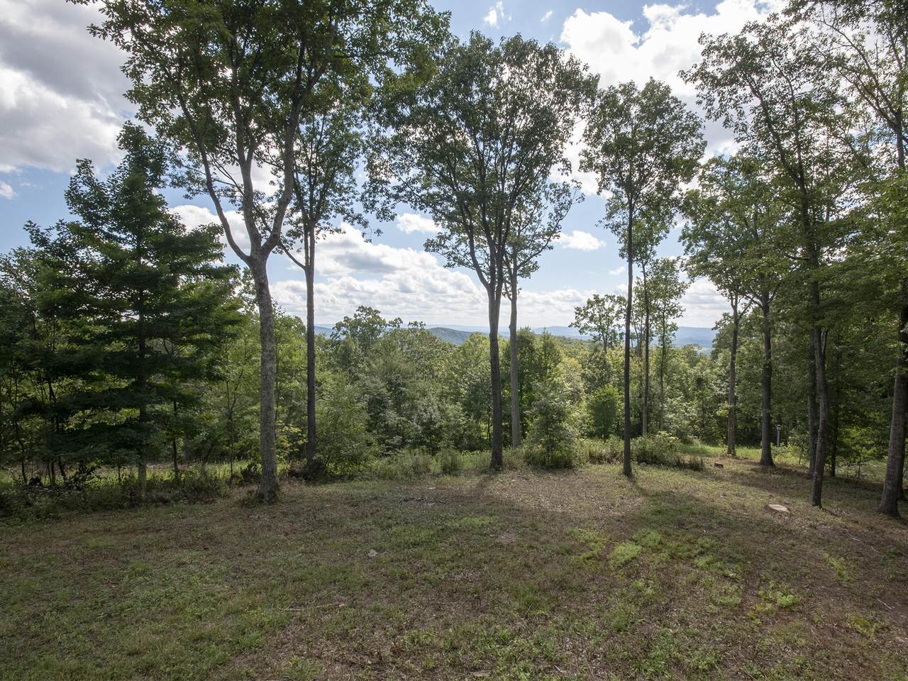 861 Summit Village Trail - Photo 1