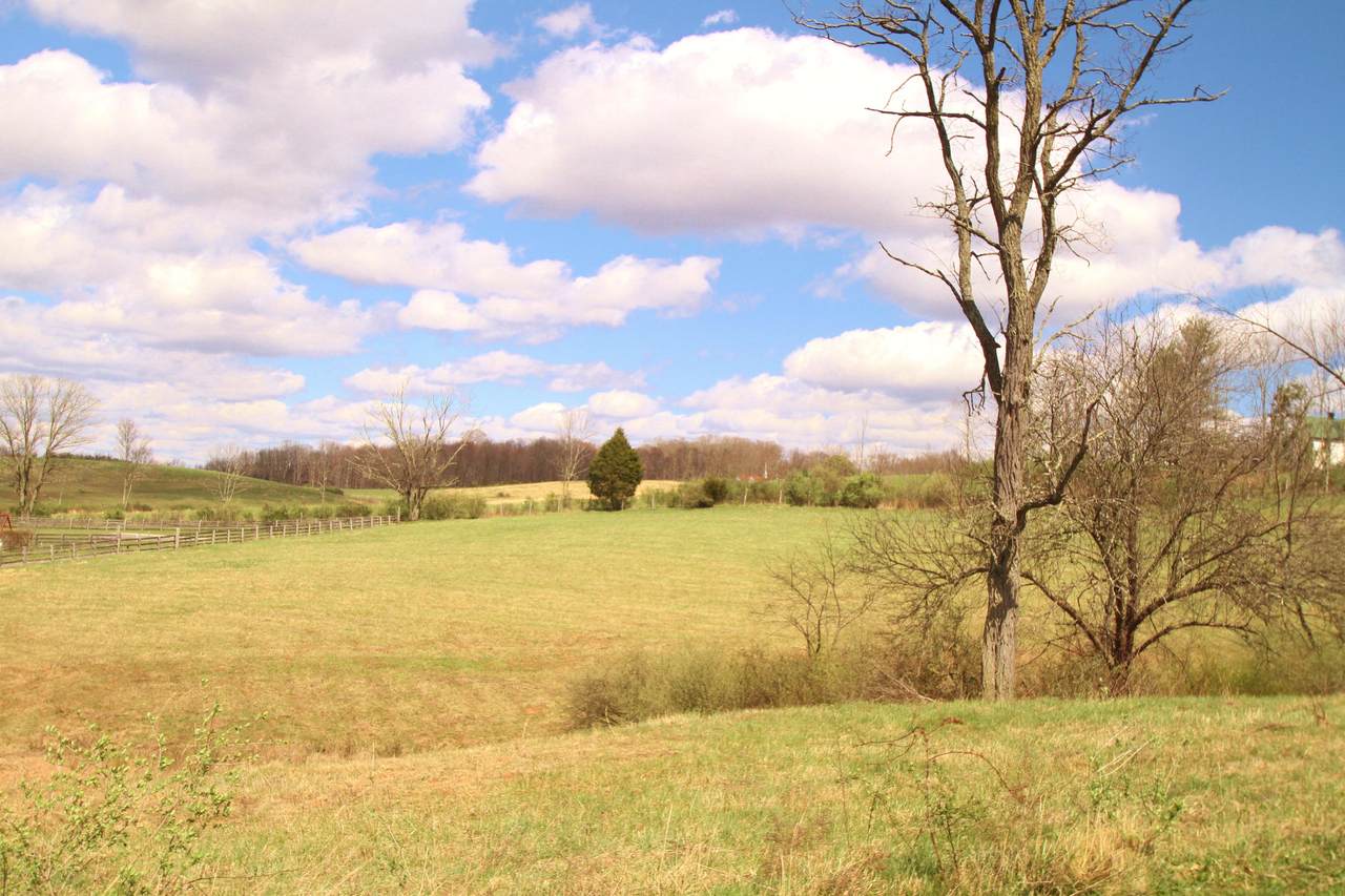 Lot 1 Bearclaw Estates - Photo 1