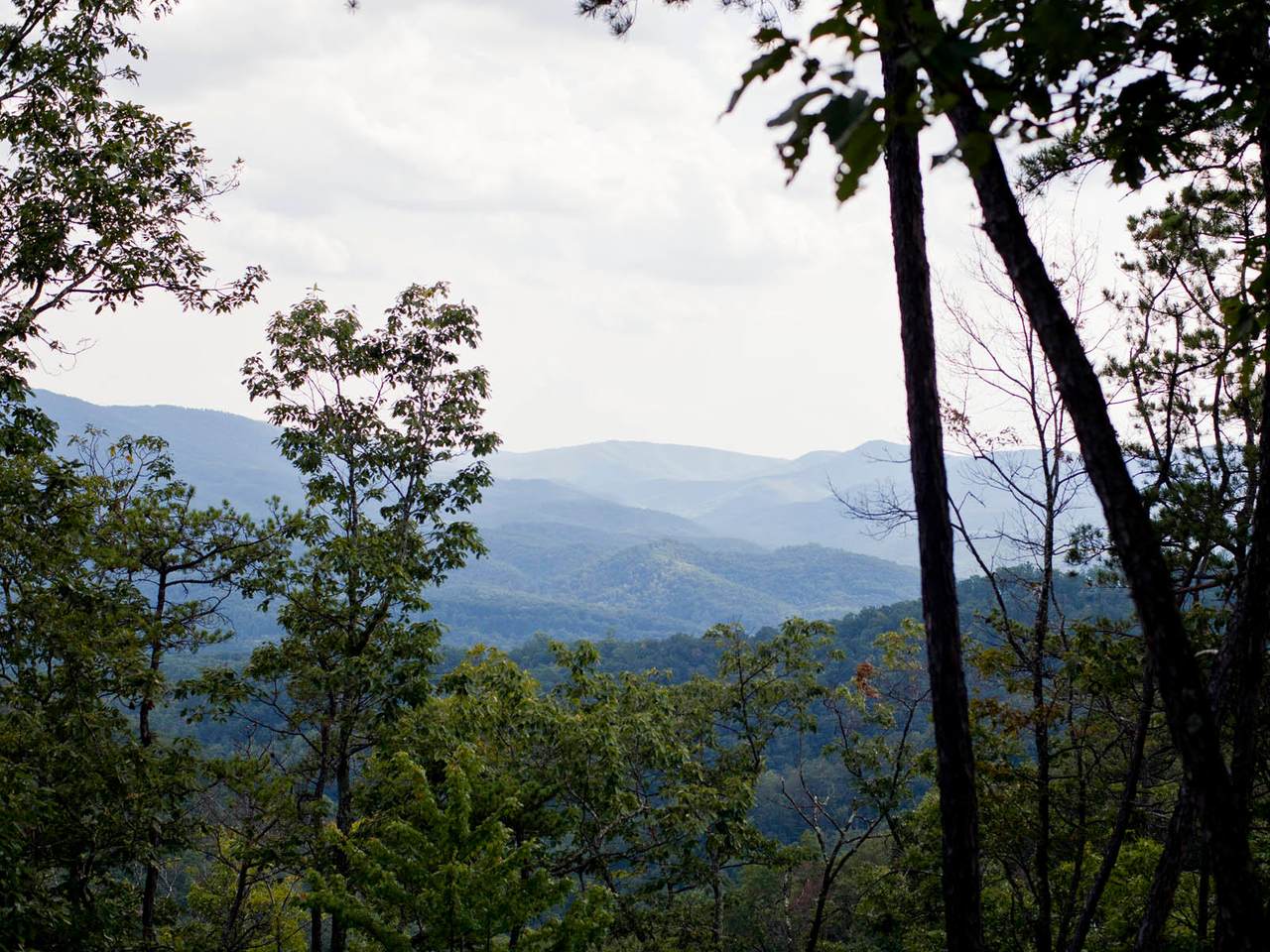 1050 Wilson Ridge - Photo 1