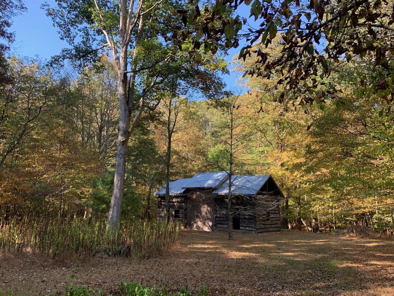 9950 Zenith Rd - Photo 1