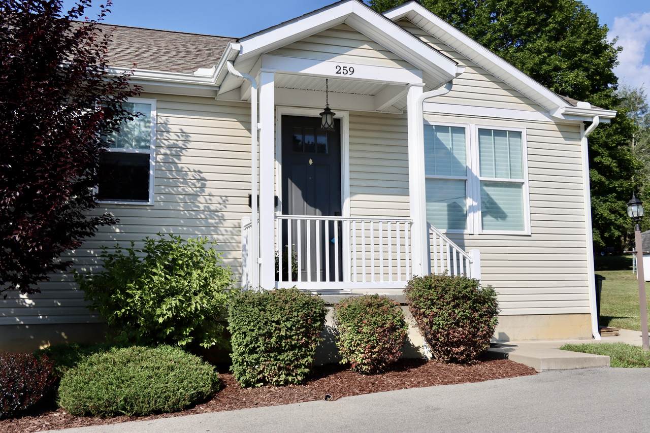 259 Elizabeth St. - Photo 1