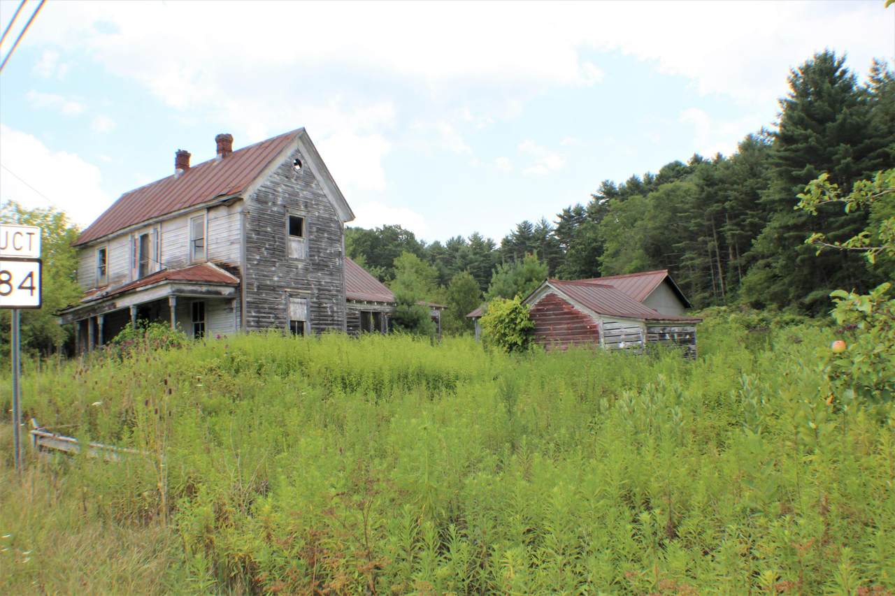 10000 Frost Rd - Photo 1