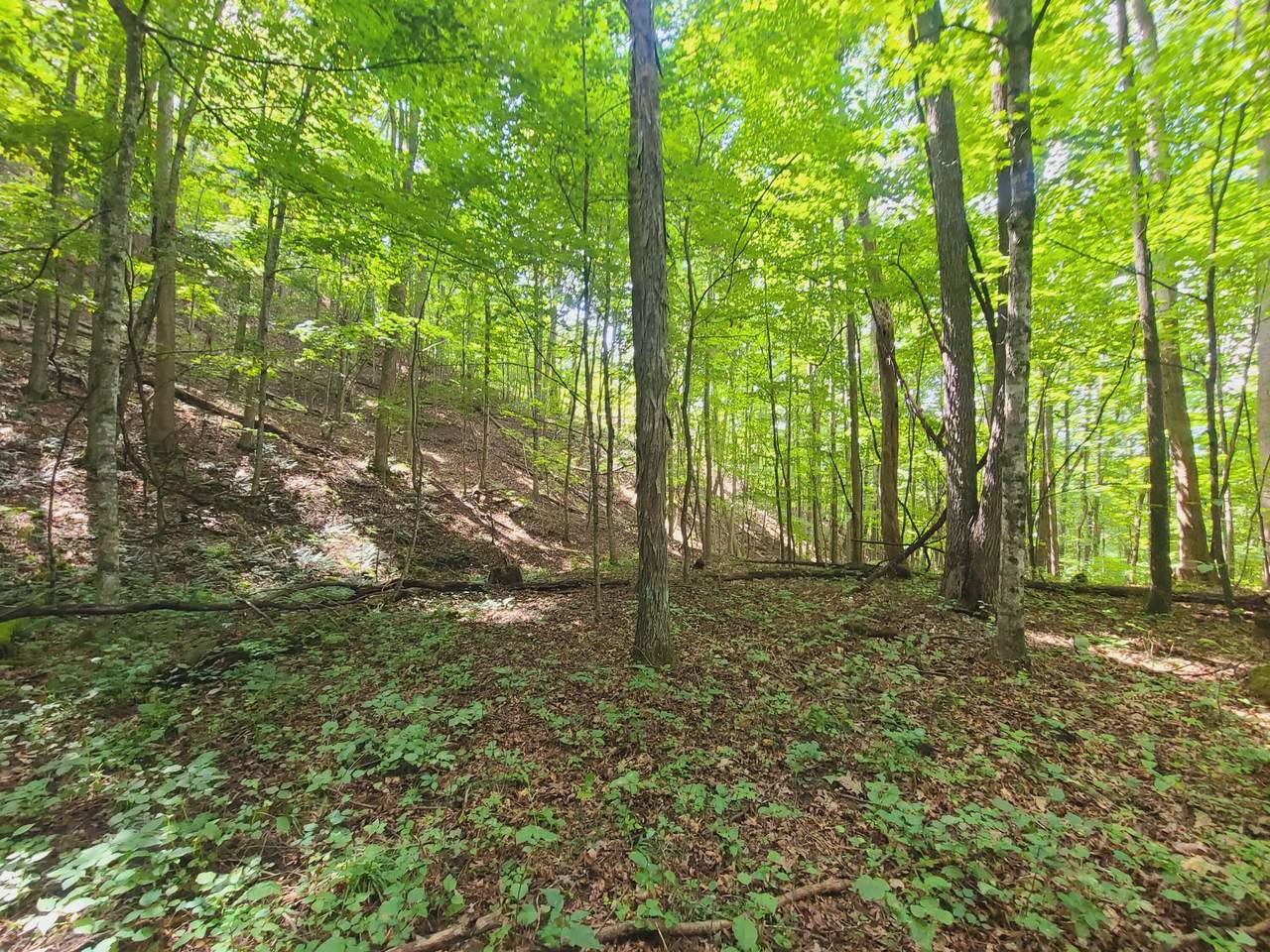 9/1 Leonard Long Rd. - Photo 1