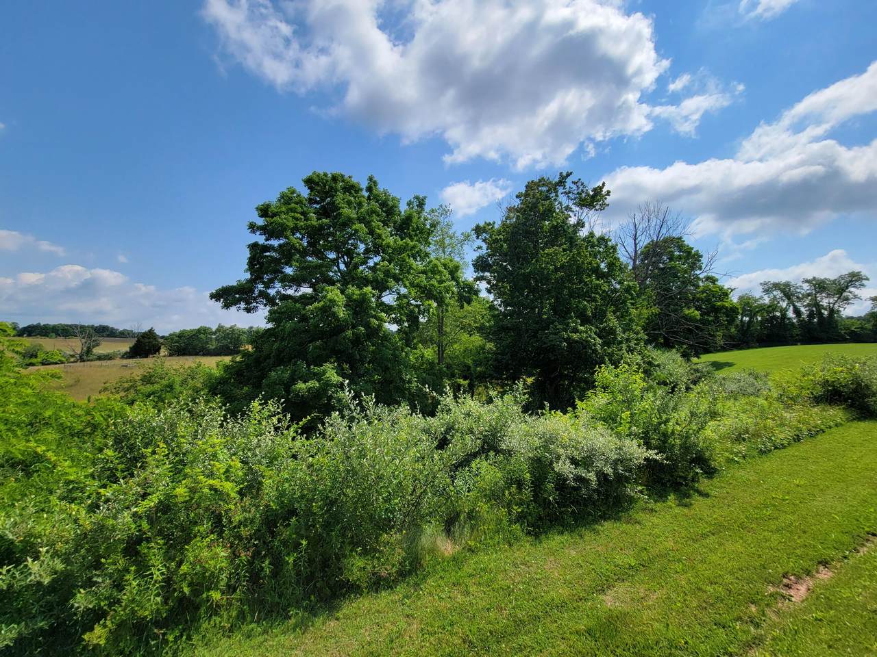 Lot 2 Bearclaw Estates - Photo 1