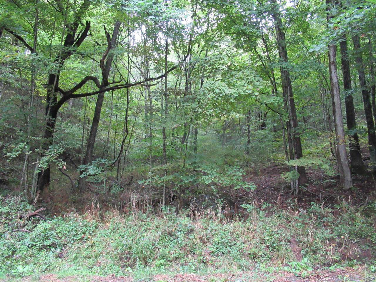 Dougher Knob Rd - Photo 1