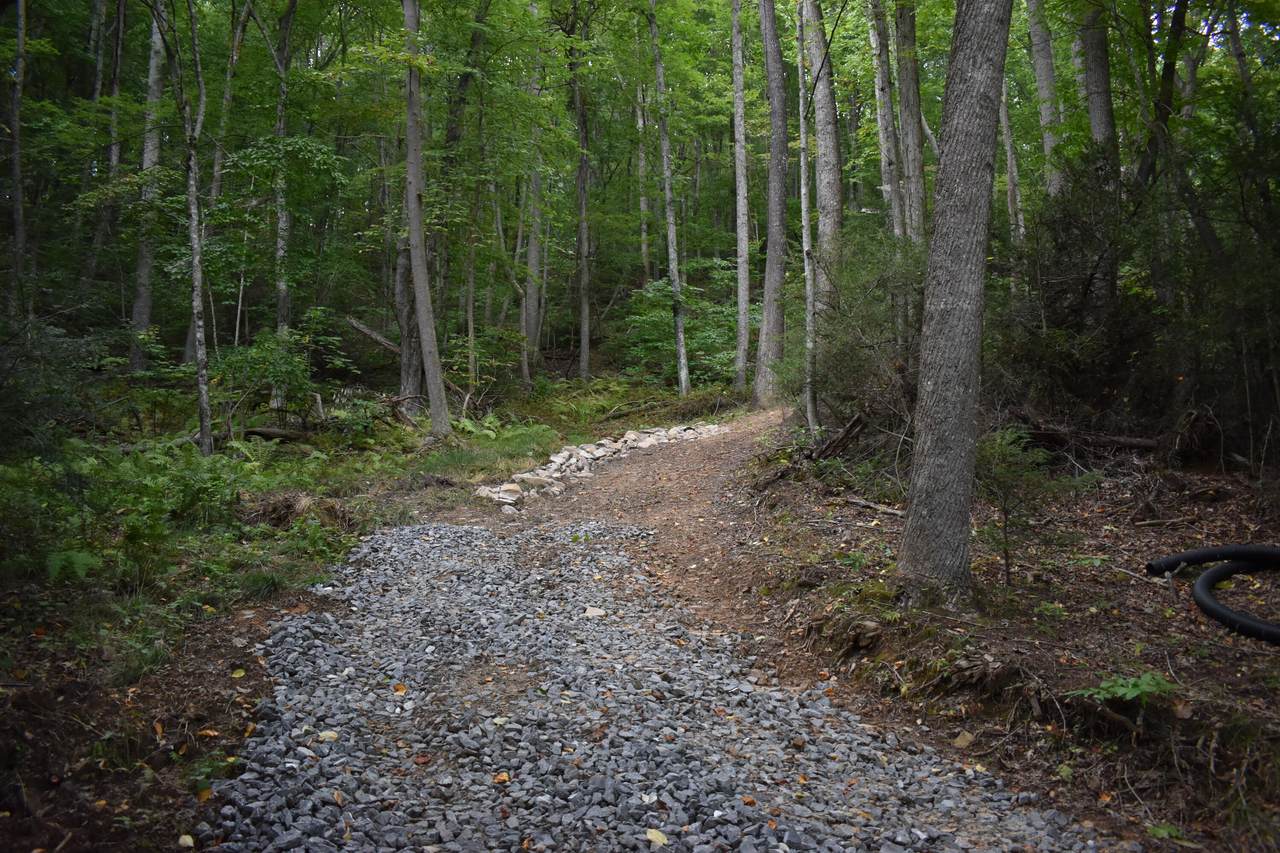 Bear Hollar Road - Photo 1