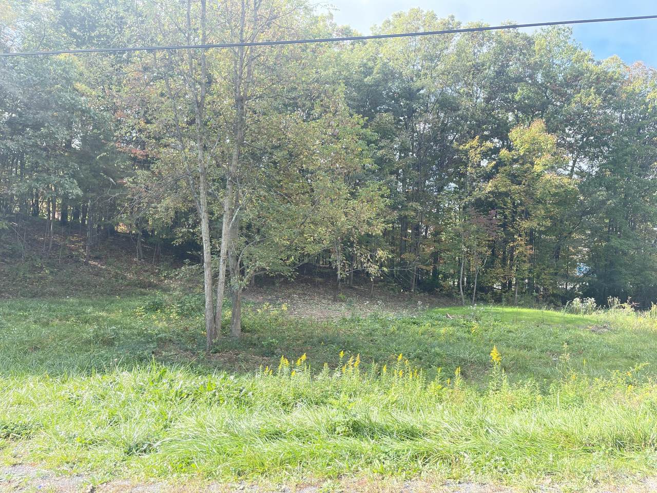 Lot 39 Wildwood - Photo 1
