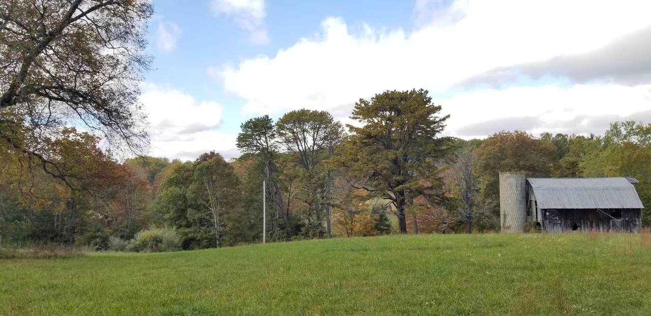 Muddy Creek Mountain Road - Photo 1