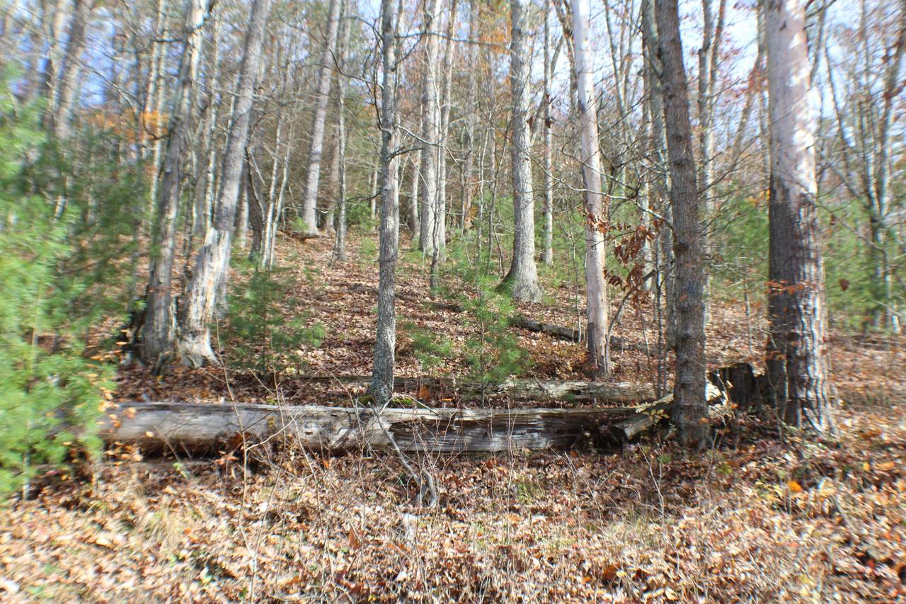 Thomas Creek - Photo 1