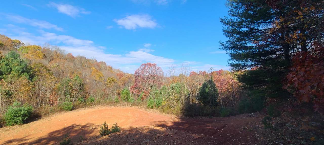 7? Shadt Hollow Rd. - Photo 1