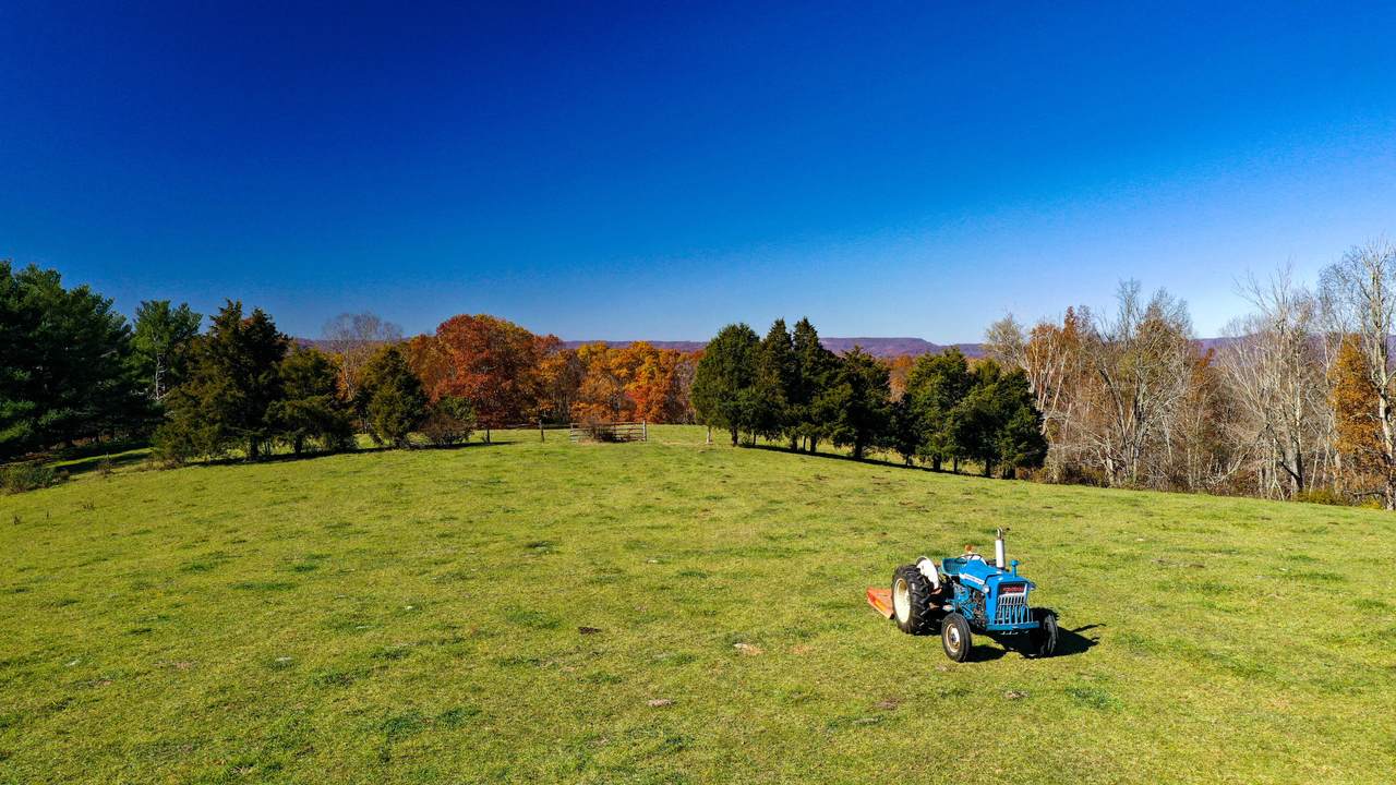 1528 Low Gap Church Road - Photo 1