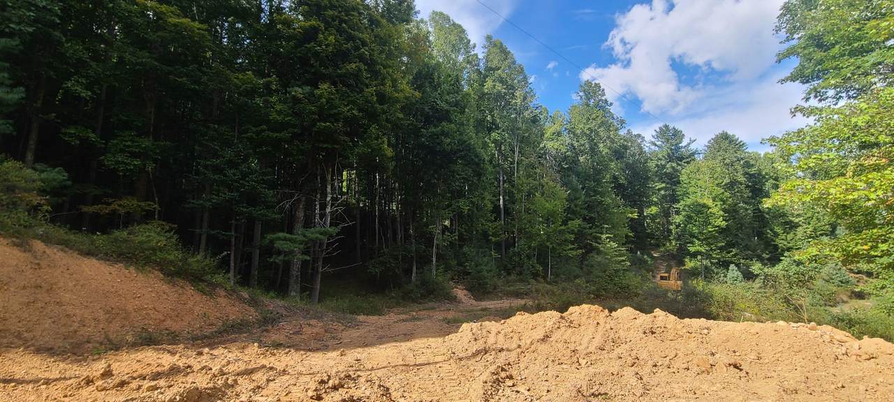 31 Acres Ellison Ridge Rd - Photo 1