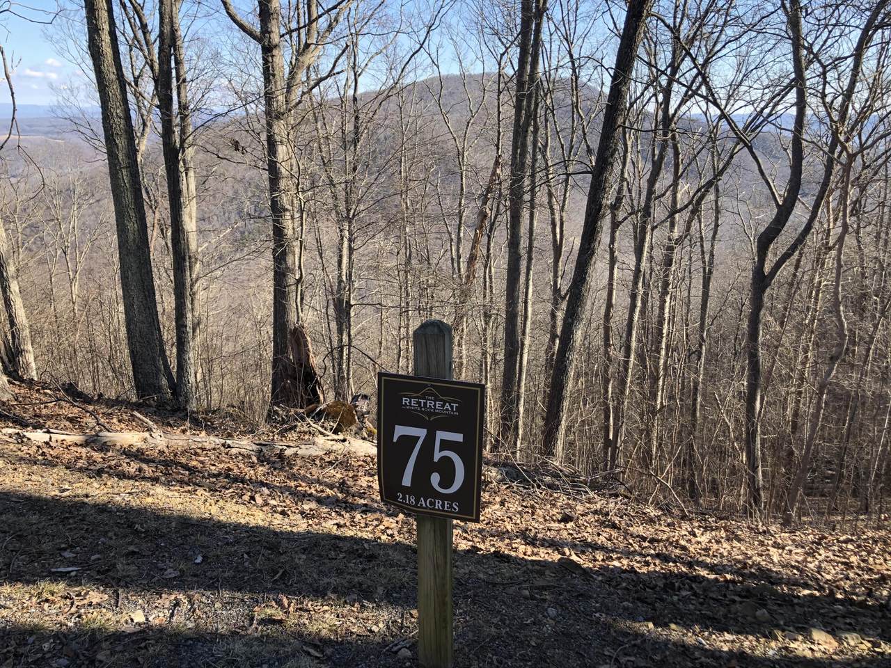 Lot 75 White Rock Trail - Photo 1
