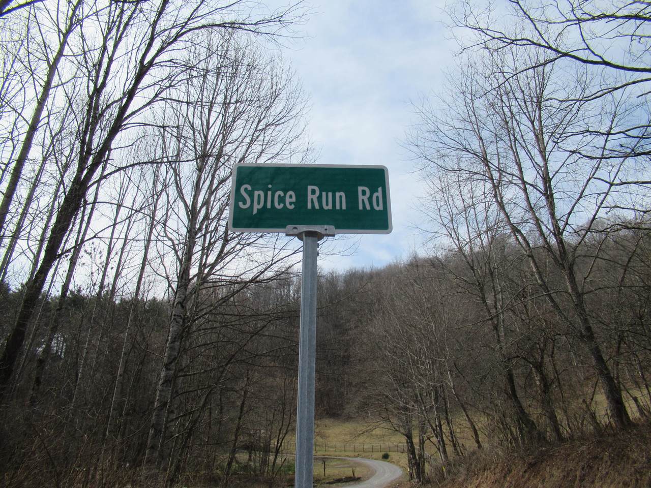 Lot 1 Spice Run Road - Photo 1