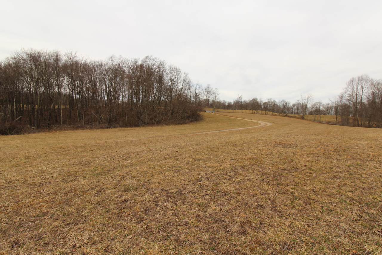1357 Chestnut Mountain Rd - Photo 1