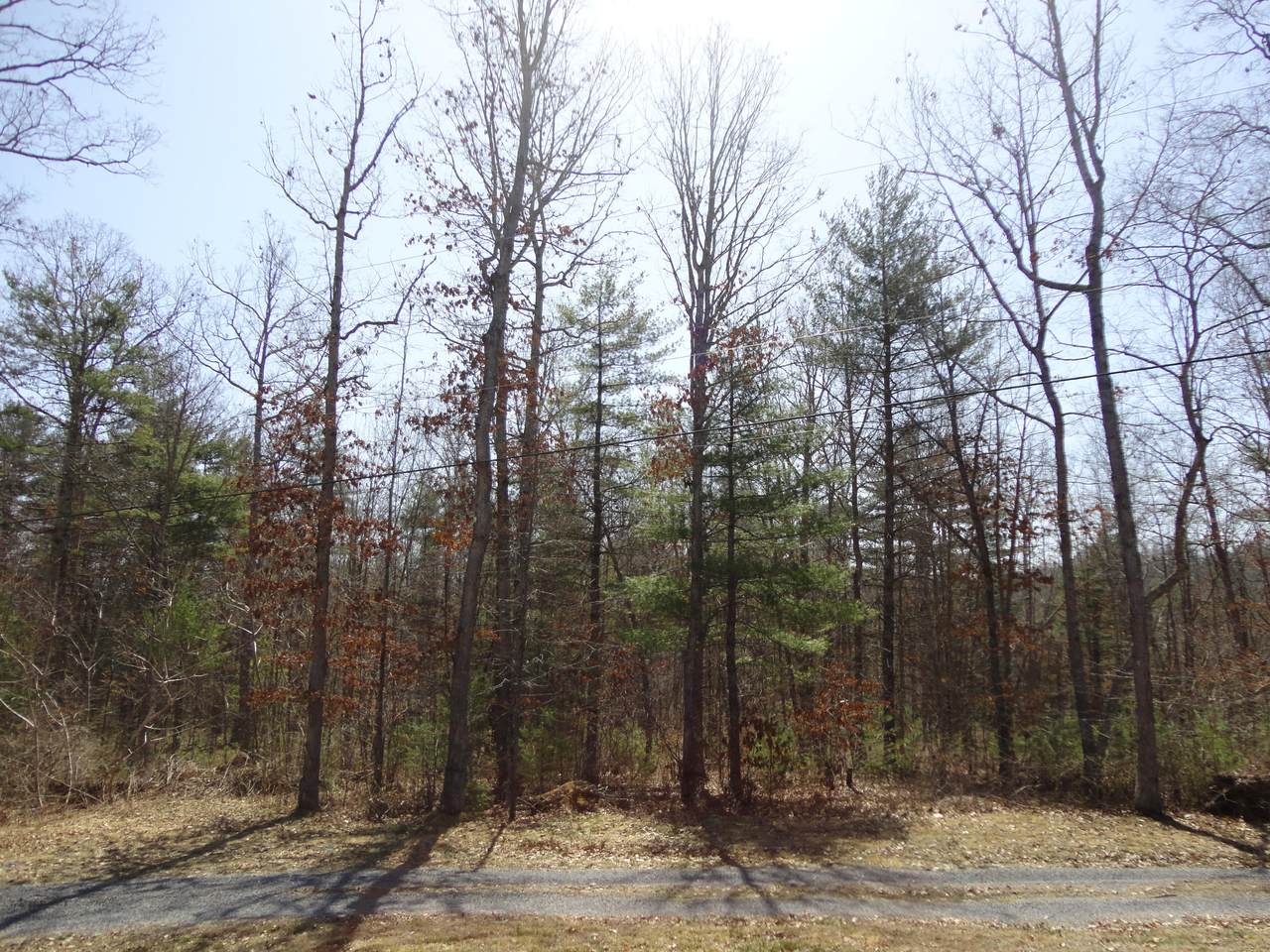 Four Oaks Ln - Photo 1