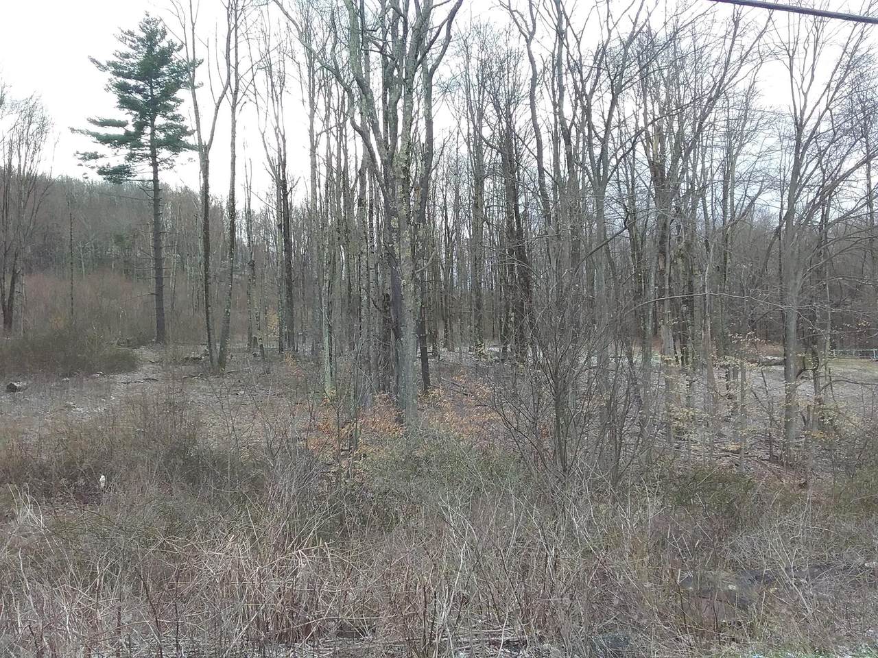Cemetery Rd - Photo 1