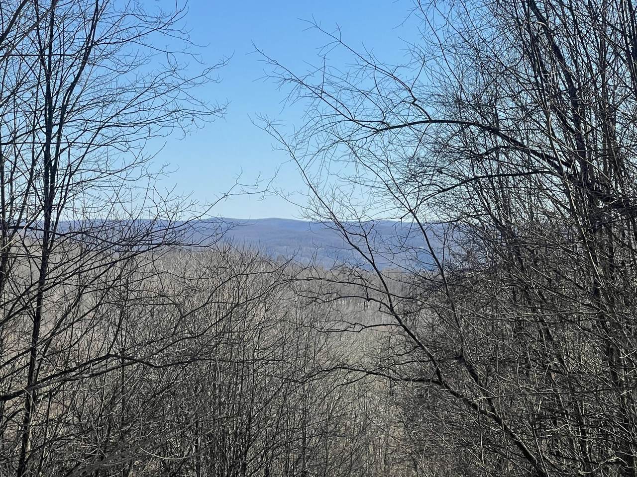 1299 Black Bear Rd - Photo 1