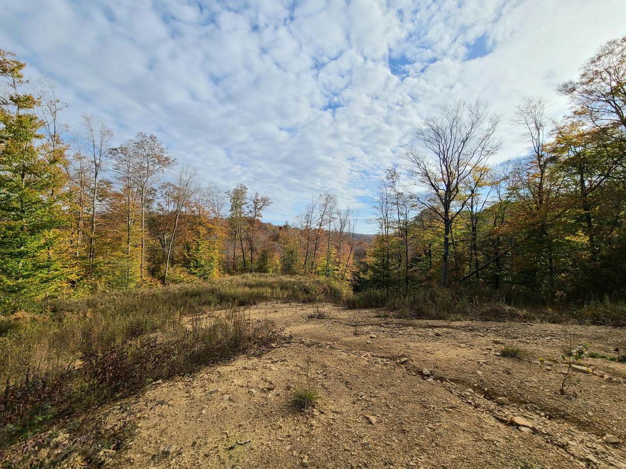 6021 Creek Road - Photo 1