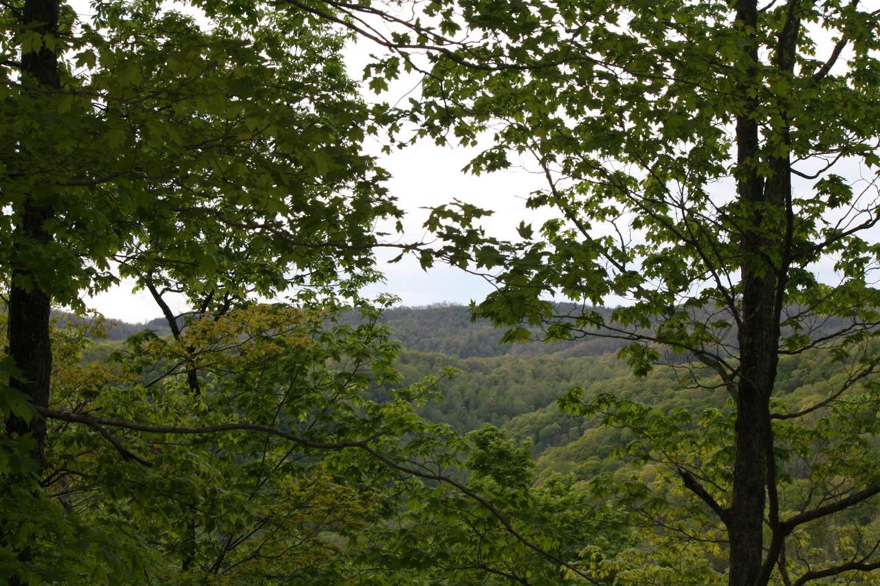 X Assigned Judson Road - Photo 1