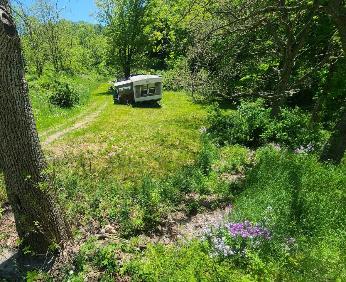 774 Morgan Hollow Rd - Photo 1