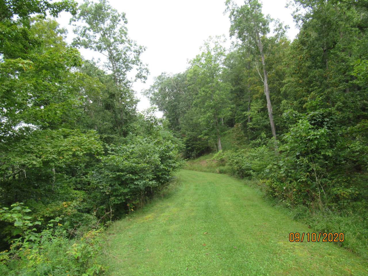 Highlander Trail - Photo 1