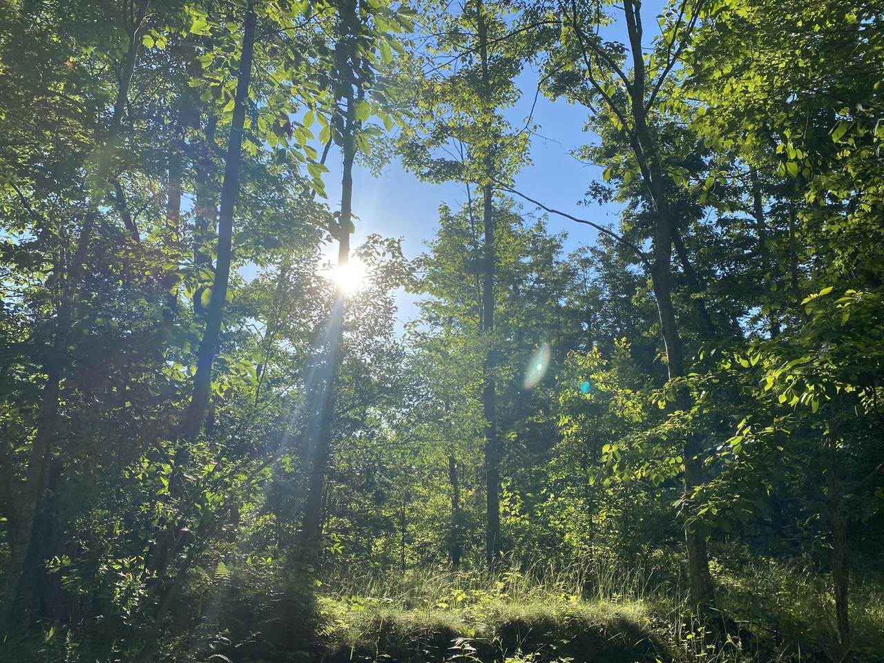 Brushy Ridge Road - Photo 1