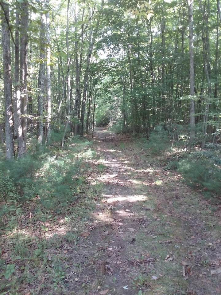 465b Healing Springs Rd - Photo 1