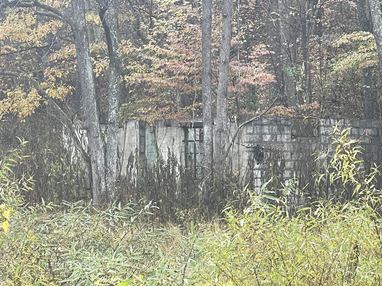 https://bt-photos.global.ssl.fastly.net/greenbrier/1280_boomver_1_22-1501-2.jpg