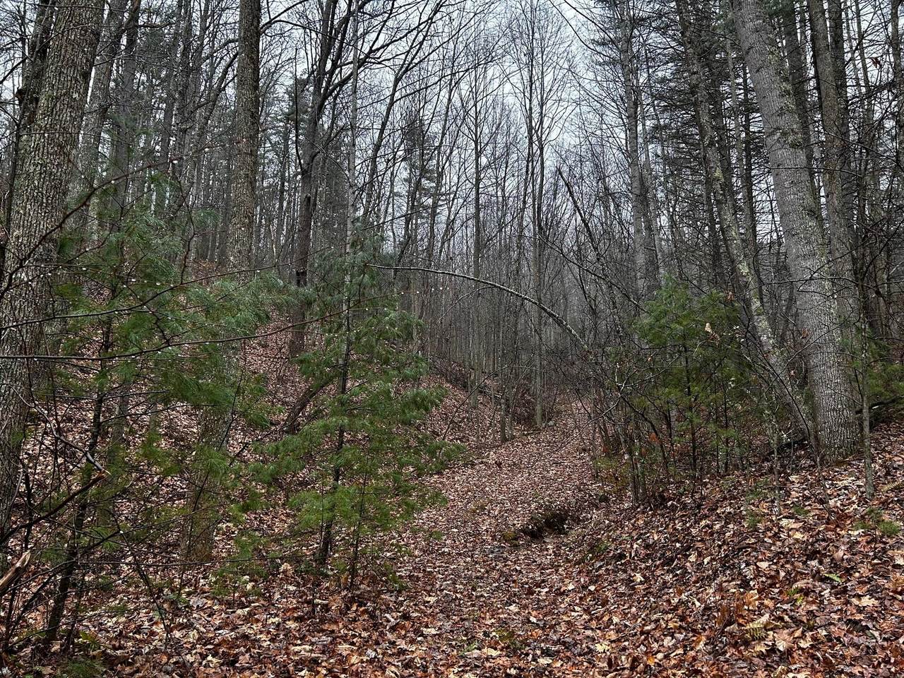 Lot 8,9,10 Deer Run Road - Photo 1