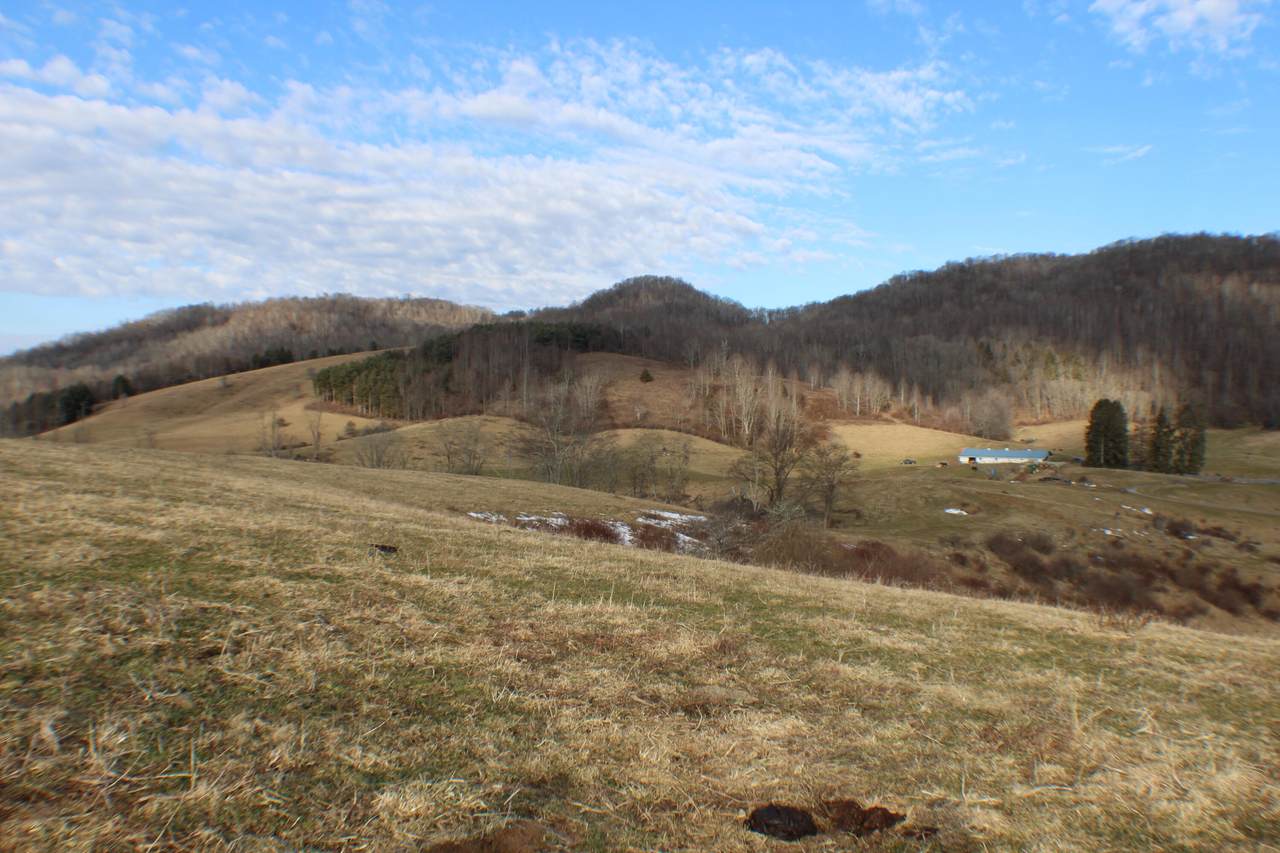 3535 Brownstown Rd - Photo 1