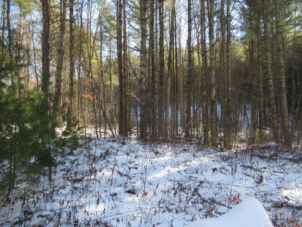Little Creek Rd - Photo 1