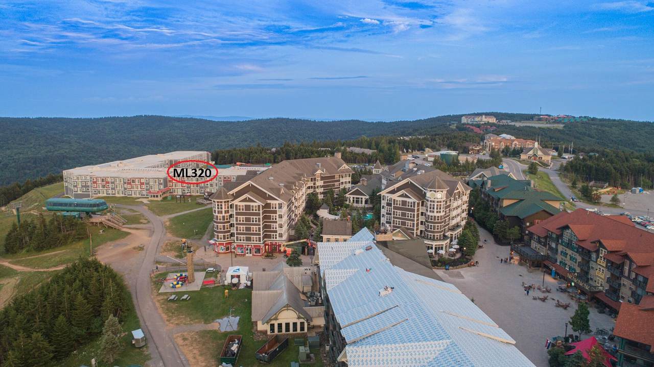 75 Mountain Lodge Lane 320 - Photo 1