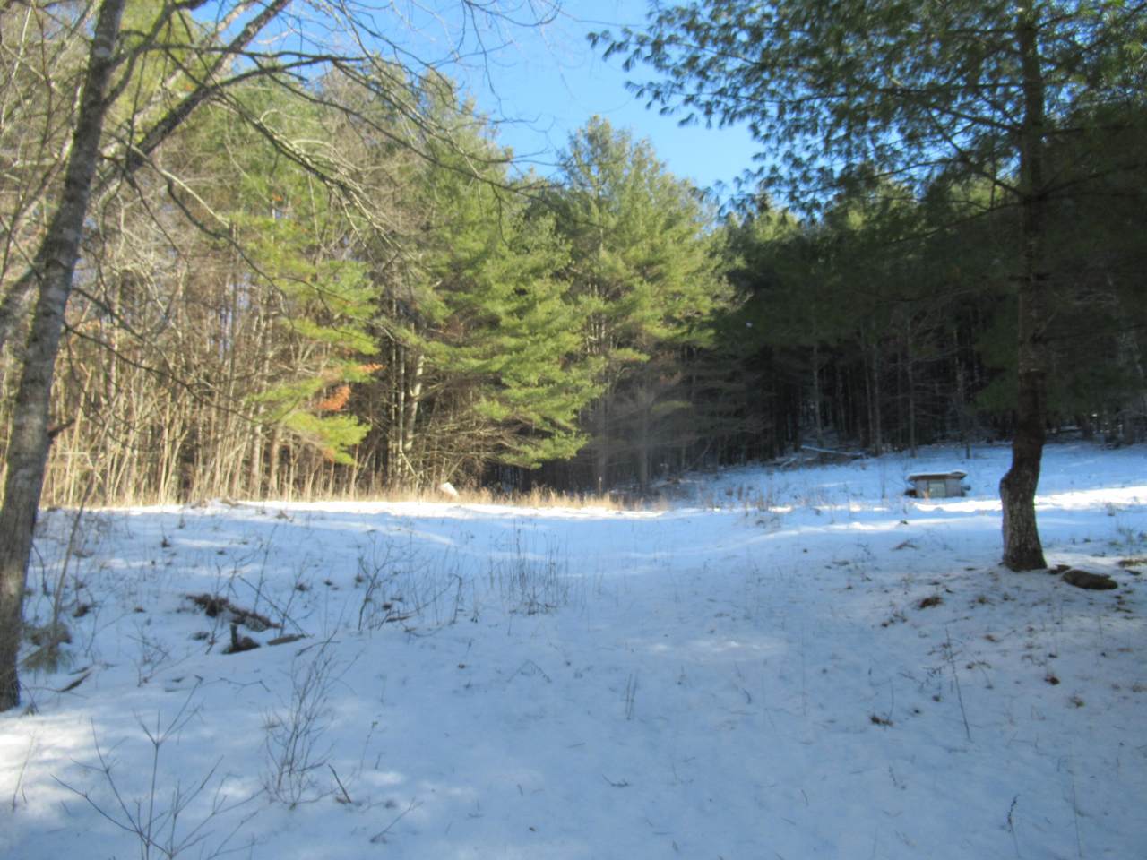 6638 Little Creek Rd - Photo 1