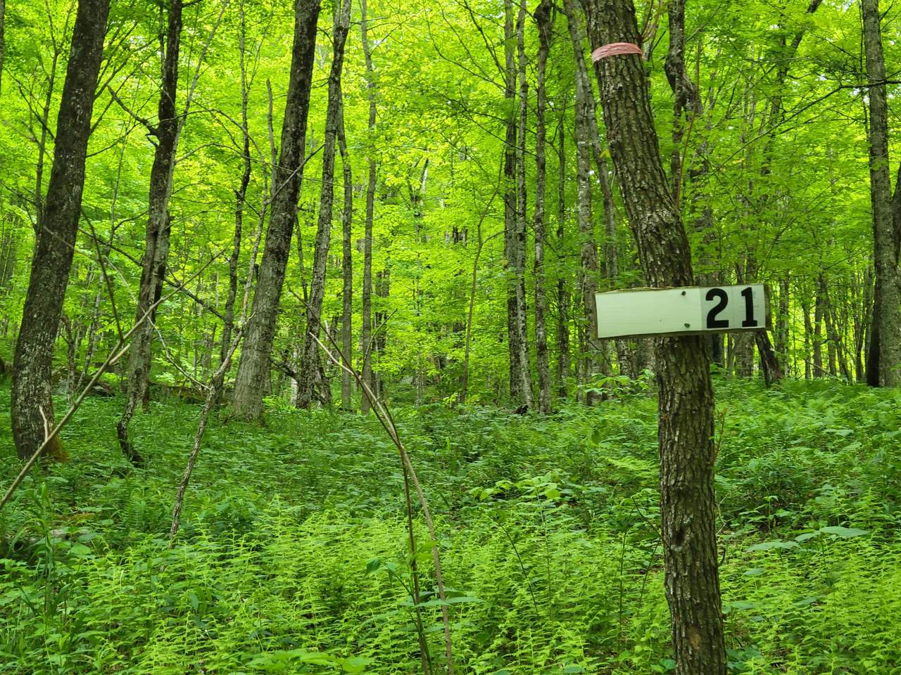 Lot 21 Eagles Nest - Photo 1