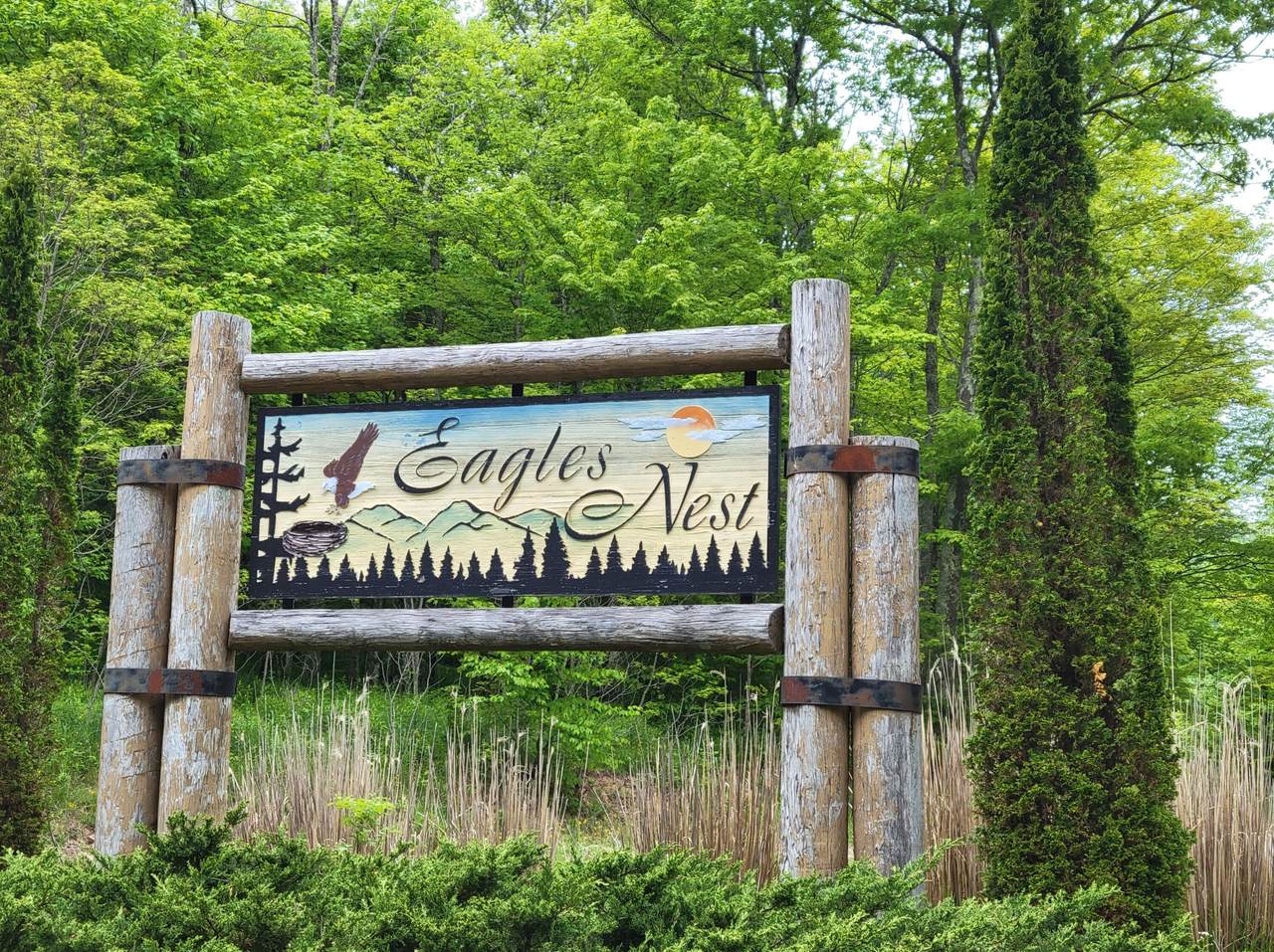 Lot 22 Eagles Nest - Photo 1