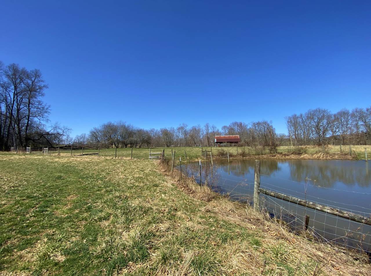 459 Dick Spencer Rd - Photo 1