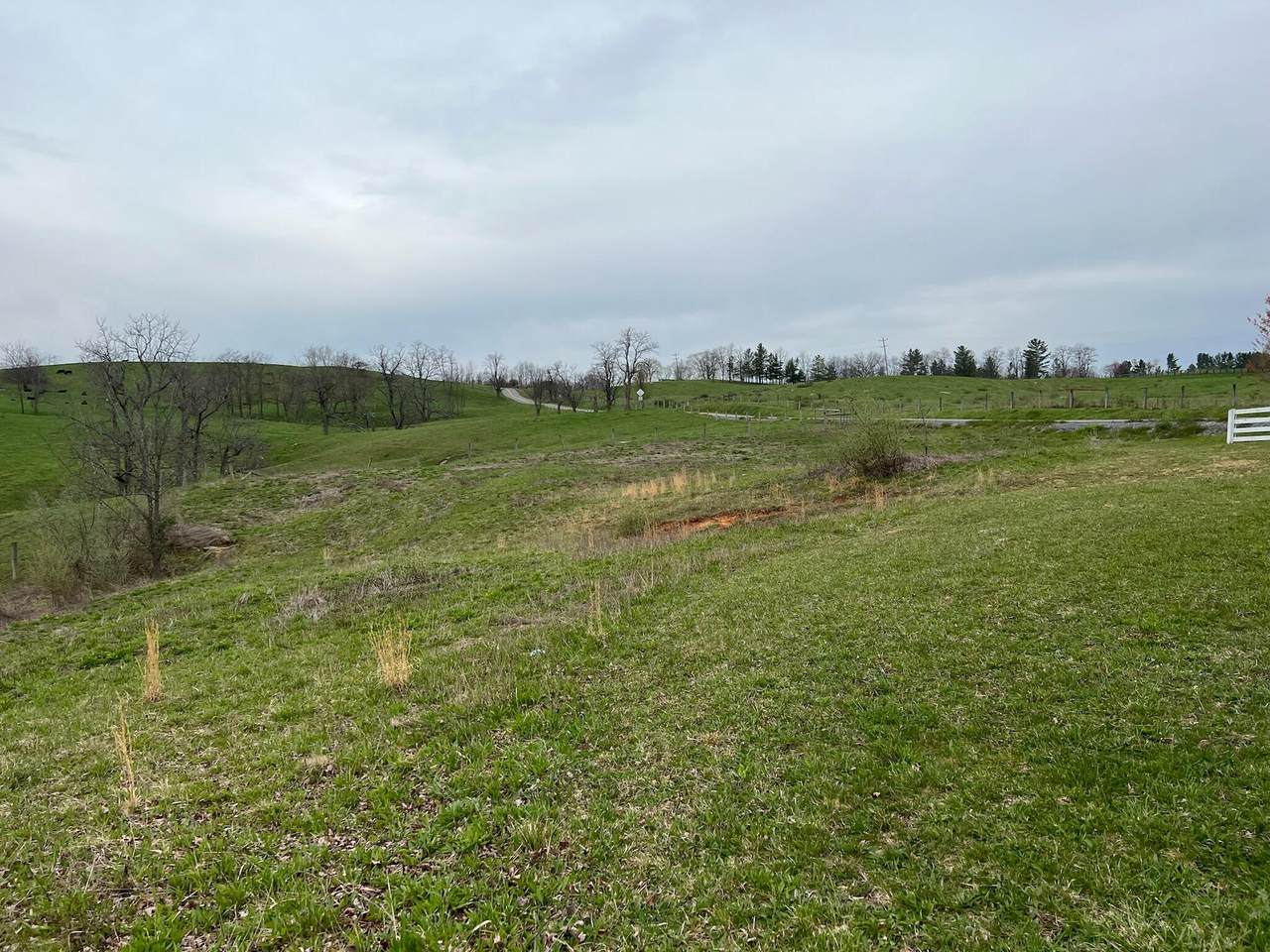 Fairview Rd - Photo 1
