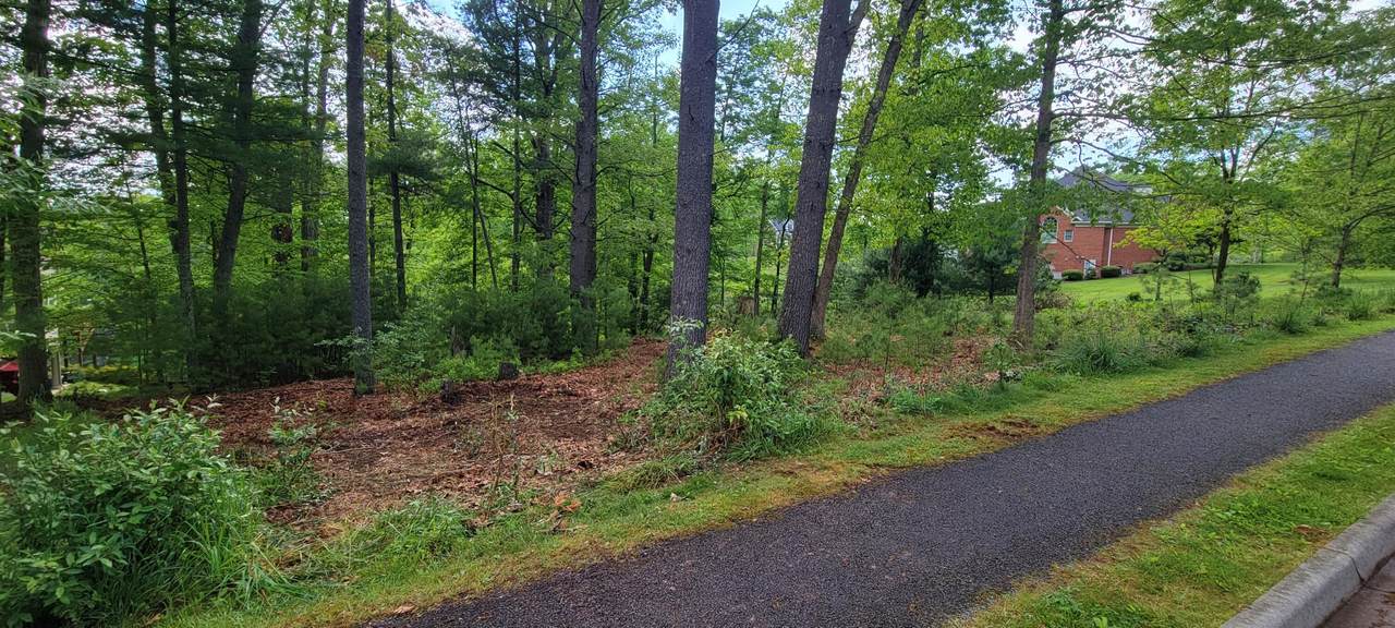 Lot 6 Old White Dr - Photo 1
