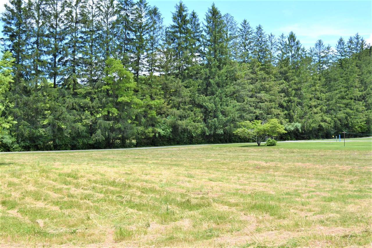 Lot 5 & 6 Harts Run Rd - Photo 1