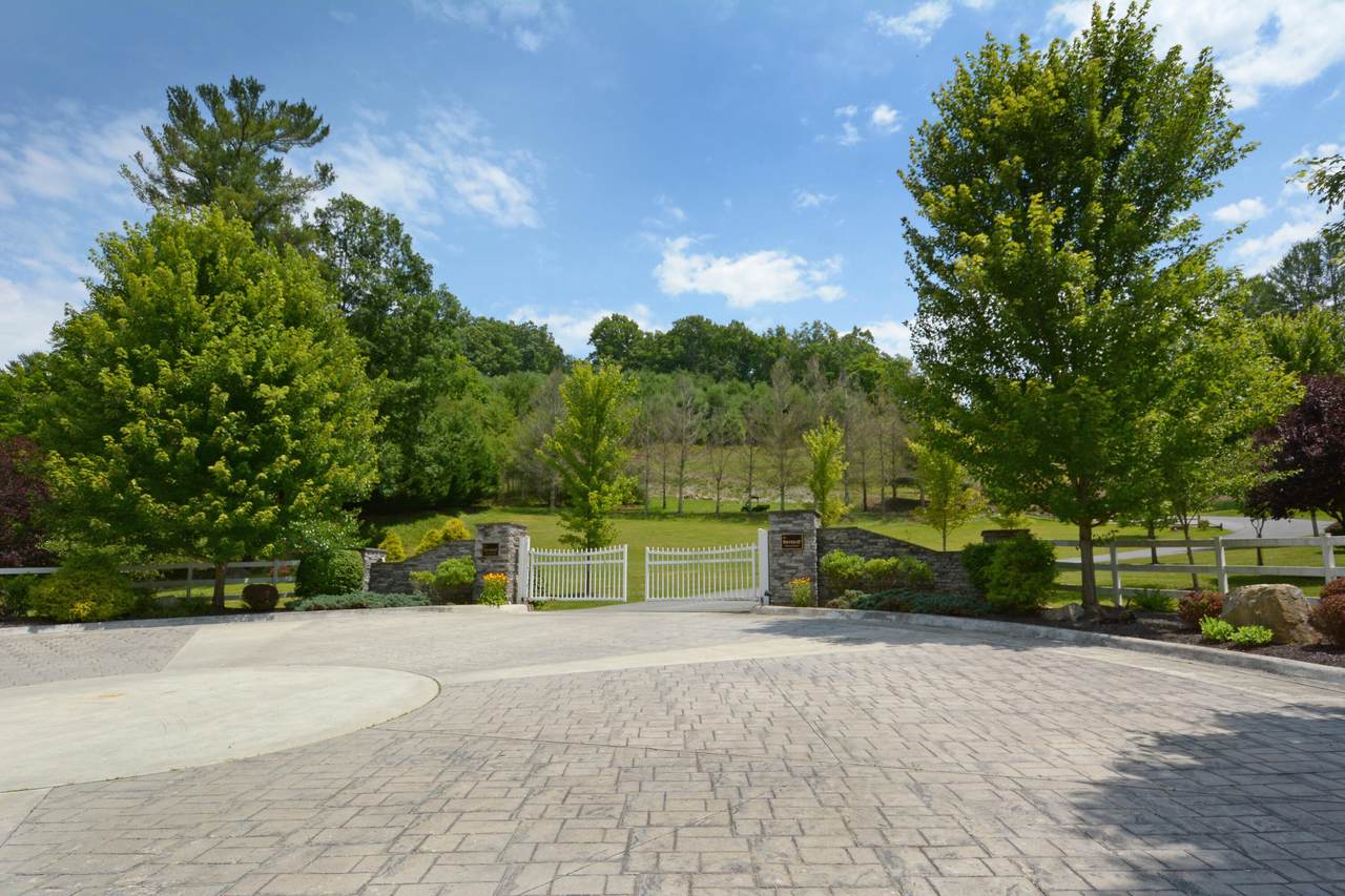 Retreat Lot 57 White Rock Trl - Photo 1