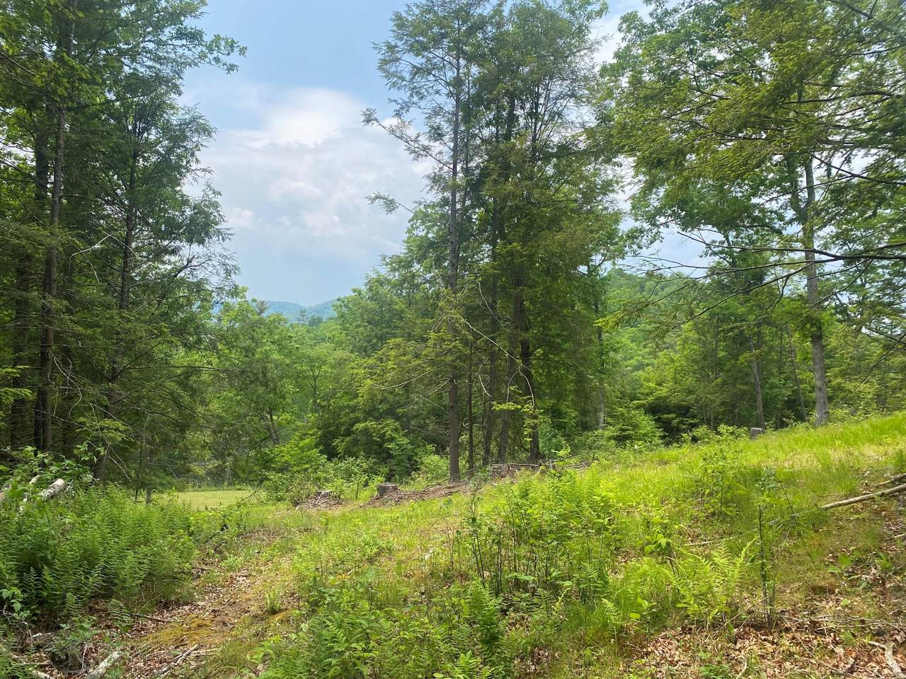 Curry Road, DUNMORE, WV 24934 (231450) TaylorMade Deep Creek Real