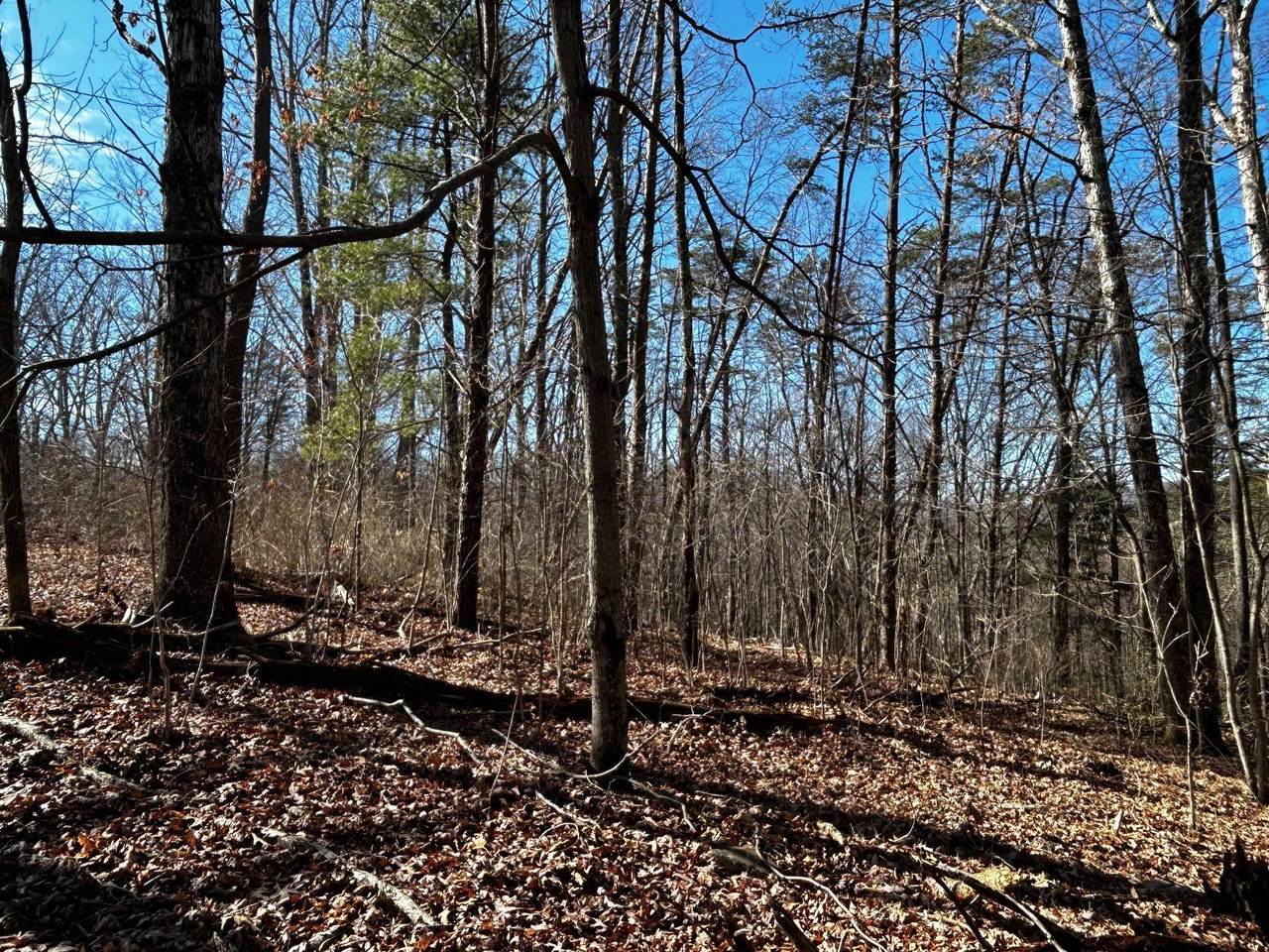 https://bt-photos.global.ssl.fastly.net/greenbrier/1280_boomver_1_23-163-2.jpg