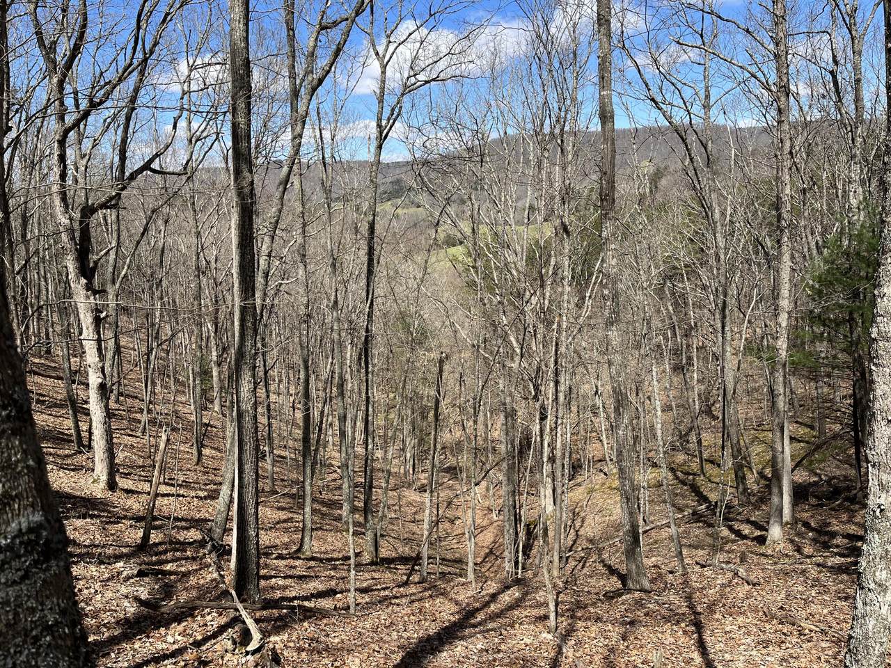 Back Cr. S. Sec. Rt. 23/5 39.9 - Photo 1