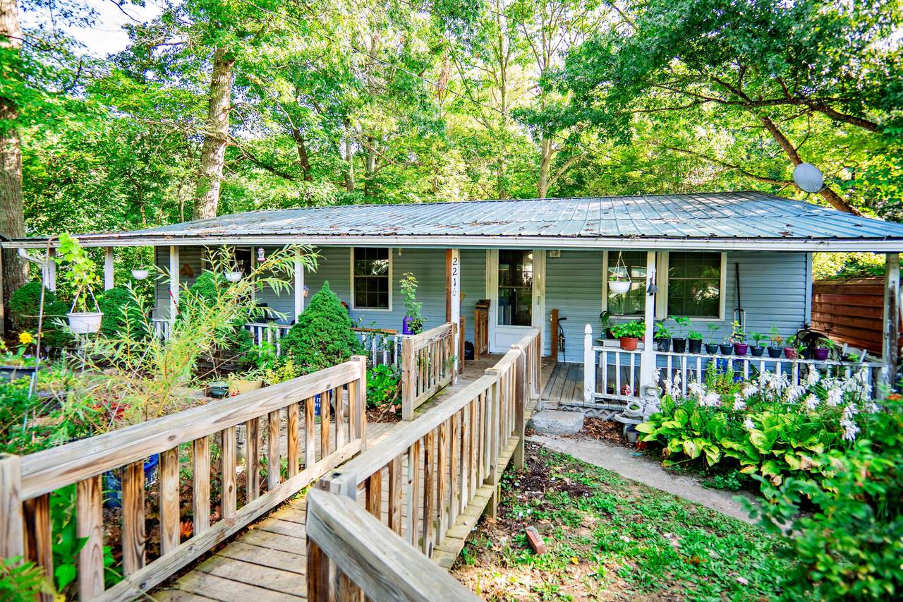 294 Big Mountain Rd - Photo 1